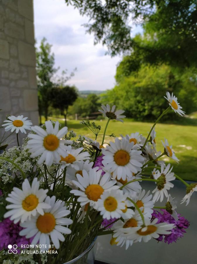 Gite La Roche Le Boulvé Exteriér fotografie